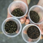 The Science of Tea: Four kinds